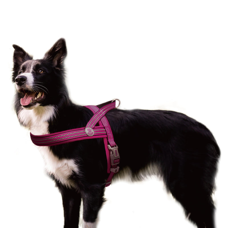 DOCO No-Pull Dog Harness for Small Sized Dog, Halter Reflective Easy-Control Harness for Training, Walking, and Preventing Pulling, Breathable Design - Raspberry Pink - PawsPlanet Australia