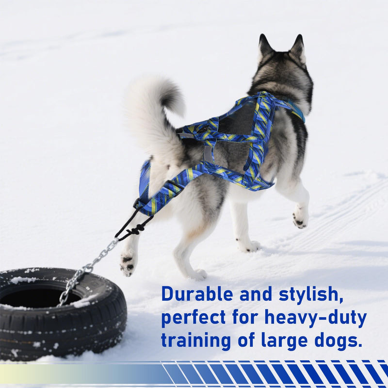 Dog Pulling Harness, Sled Dog Harness for Running, Pull Dogs Leash is Suitable for Cross-Country Running, Dogs Sports, Bicycle Traction, Ski Traction, Sled, Sled Dog 25.5kg (Blue, M) Blue - PawsPlanet Australia
