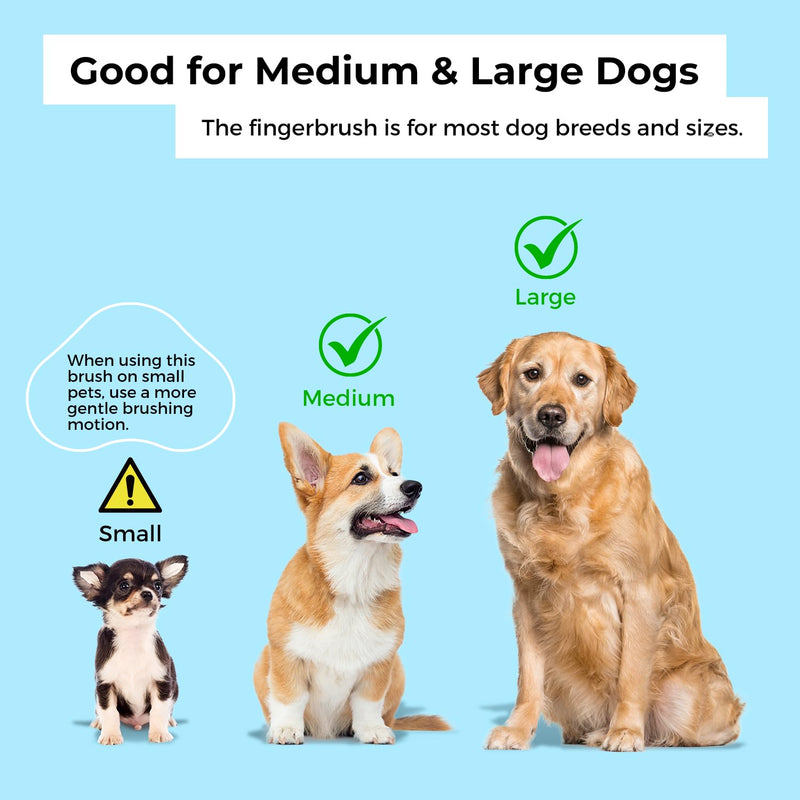 Coredy 4 Pack Dog Toothbrush, Soft Silicone Pet Toothbrush, Finger Toothbrush Covers Kit for Dog Teeth Cleaning & Dog Dental Care - PawsPlanet Australia