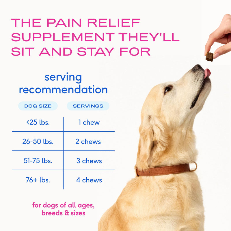 Native Pet Inflammatory Care - Pain Relief for Dogs - Green-Lipped Mussel, Turmeric & Collagen for Dogs - Hip and Joint Supplement Supports Healthy Inflammatory Response & Joint Comfort - 60 Chews 60 Count - PawsPlanet Australia