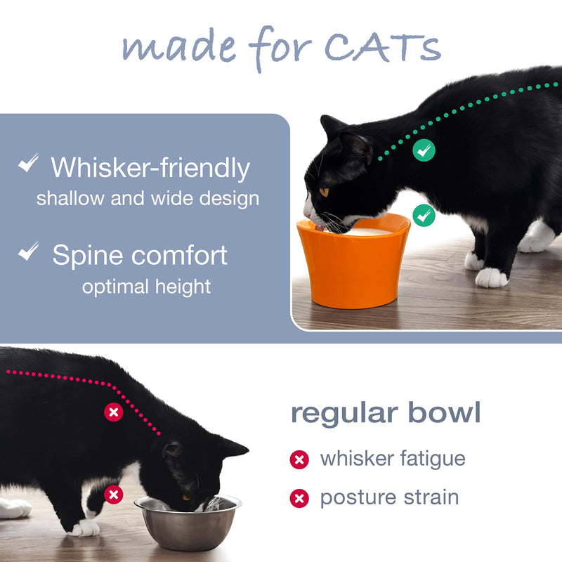 Raised Cat Water Bowl for Whisker Fatigue - Tilted, Elevated Cat Bowl Pedestal; Food-Grade Melamine; Anti-Spill, Durable & Dishwasher Safe (Original) - PawsPlanet Australia