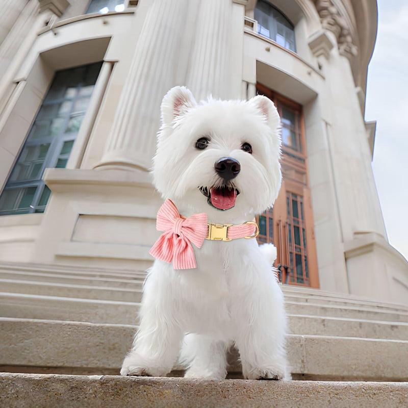 Beirui Girl Dog Collars with Bowtie, Adjustable Cute Dog Collar for Wedding and Holiday, Soft Pet Collar for Small Dogs, Pink S S: Fit 10-20lbs - PawsPlanet Australia