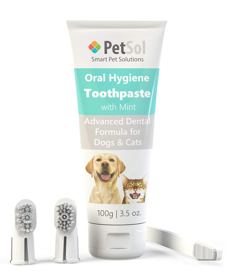 PetSol Dental Care Kit for Dogs & Cats Toothpaste (100g) with 3 x Pet Toothbrushes to Clean Pet's Teeth, Remove Plaque and Tartar, Improve Gum, Tooth Health & Pet Oral Hygiene Toothpaste Kit - PawsPlanet Australia