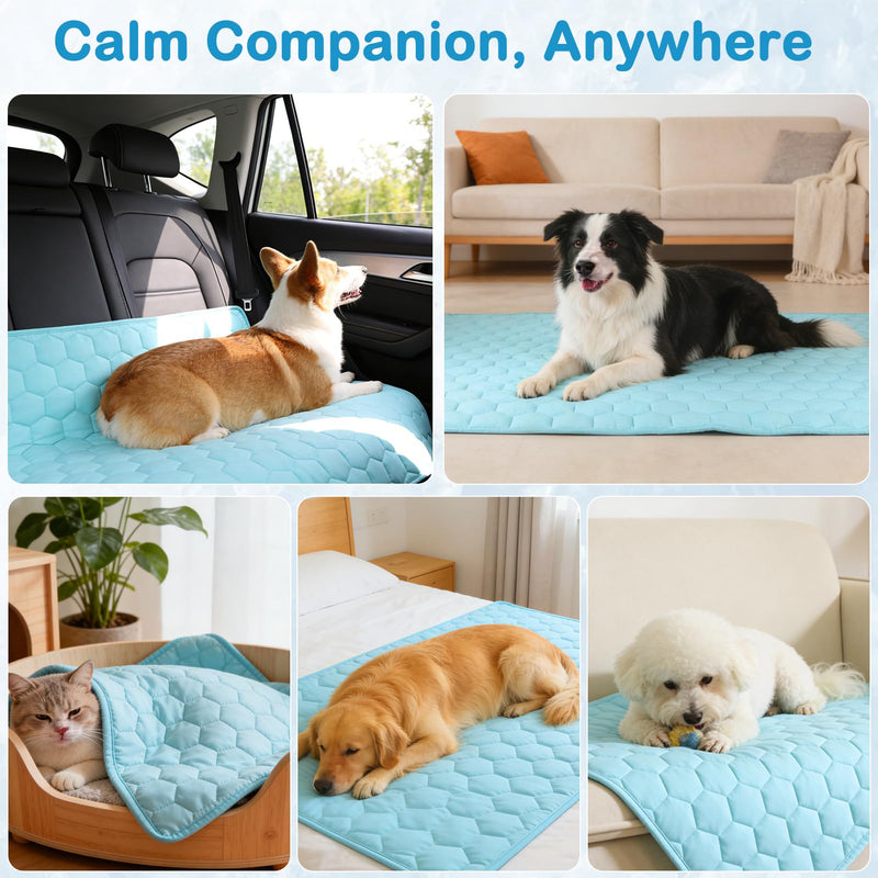 Vivifying Cooling Blanket for Dogs, Waterproof Reversible Dog Cooling Mat, Soft Pet Throw Cooling Mat for Couch, Bed, Crate, Car Seat, Breathable Summer Cat Bed Blanket 30 x 40 Inches (Blue) 30 × 40 inches - PawsPlanet Australia