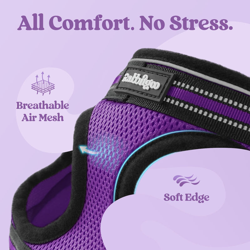 rabbitgoo Cat Harness and Leash Set for Walking Escape Proof, Adjustable Soft Kittens Vest with Reflective Strip for Extra Small Cats, Comfortable Choke-Proof Outdoor Vest Harness, Purple, M M (Pack of 1) - PawsPlanet Australia