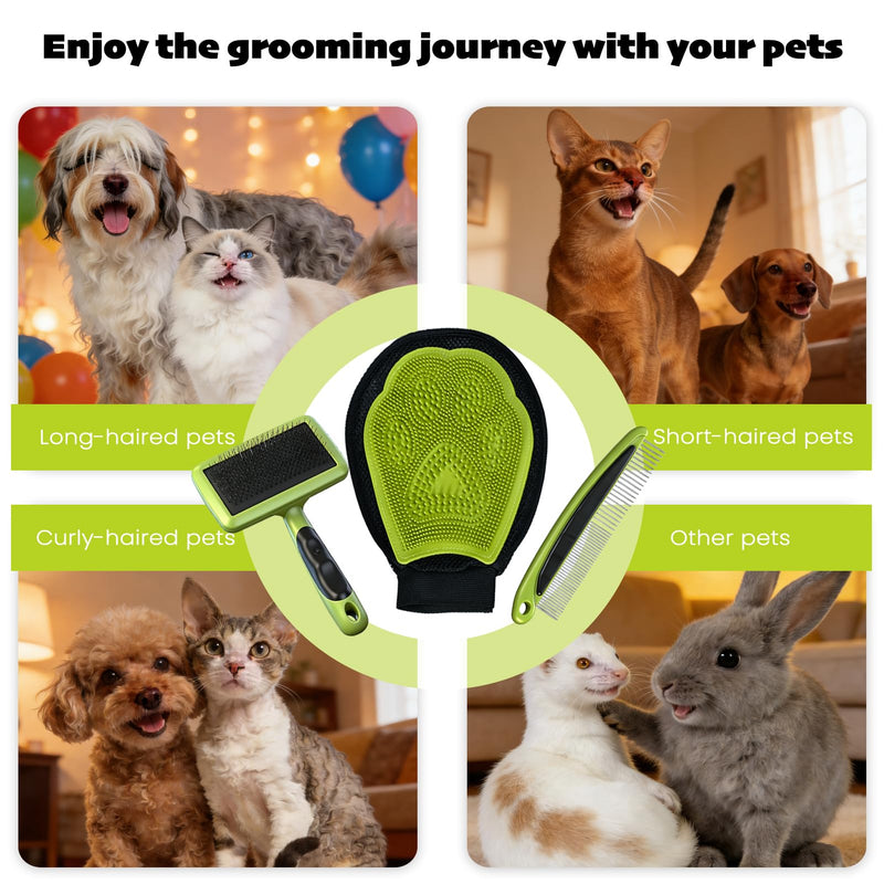 Cat & Dog Brush Set, Pet Grooming Kit with Metal Comb, Slicker Brush, Hair removal Glove for Detangling and Dematting Long, Matted Fur, Green - PawsPlanet Australia