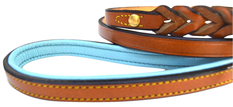 Leather Braided Dog Leash, Tan with Teal Padded Handle, 4ft Long x 1/2 Inch Wide, for Small Dogs - PawsPlanet Australia