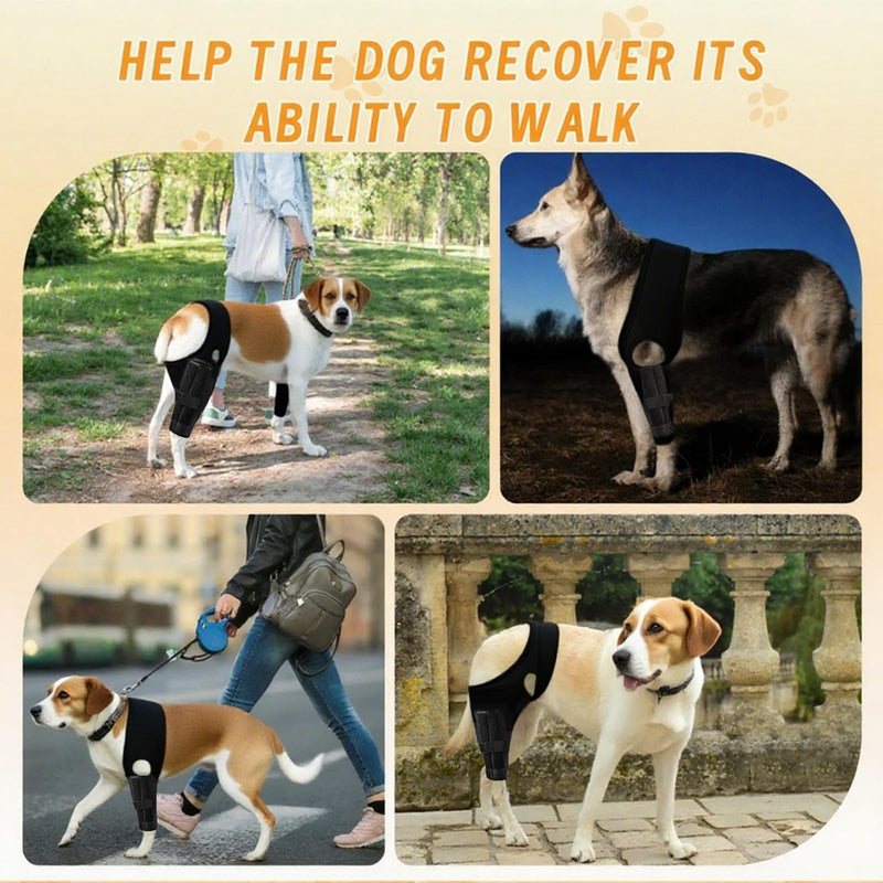 Dog Knee Brace for Torn Acl Hind Leg, Adjustable Dog Knee Brace, Helps Relieve Anterior Cruciate Ligament Tears Dog Leg Brace, Keeps Joints Stable, Relieves Pain, L (GGHX) GGHX