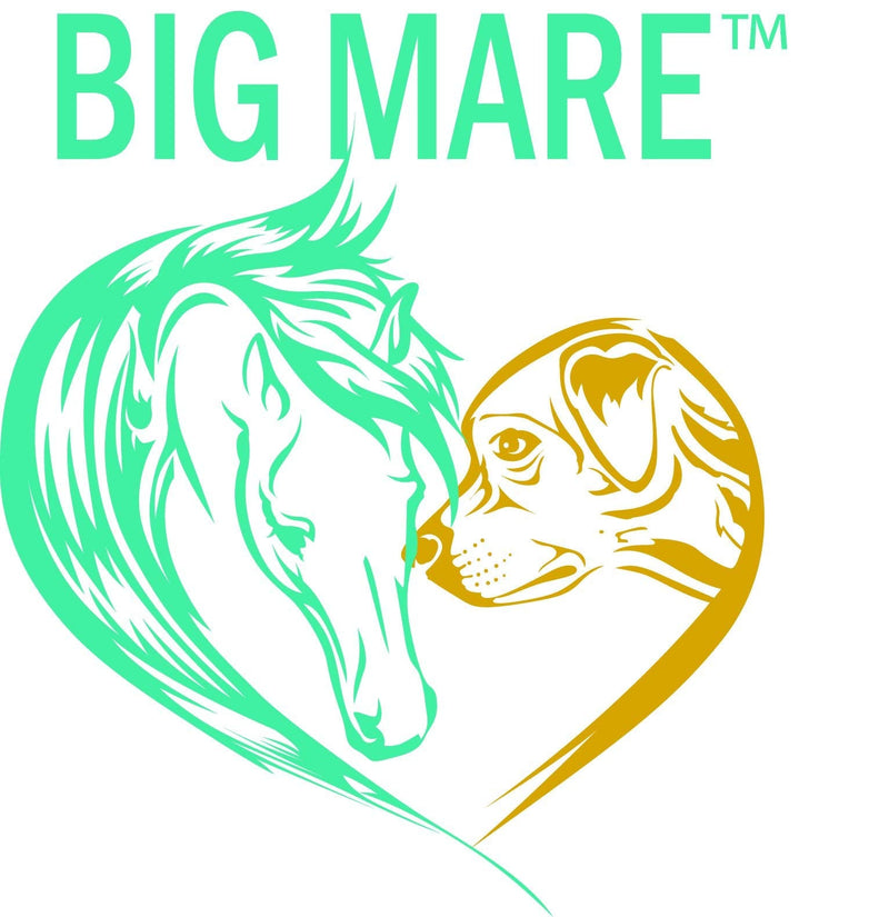 Big Mare All Purpose Horse Skin & Wound Care 32oz | First Aid: for Girth Itch, Insect & Fly Bites, Crud, Itchy Manes & Tails & Hair Loss | Vet Approved & Recommended - PawsPlanet Australia