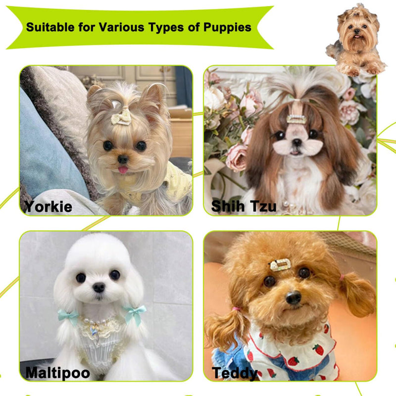 Cloud-Shaped Soft Bristle Puppy Brush for Small Dogs - Yorkie, Shih Tzu, Maltese, and Toy Poodles Grooming Tool with Detachable Lint Comb and Gift Box （Green） Green - PawsPlanet Australia