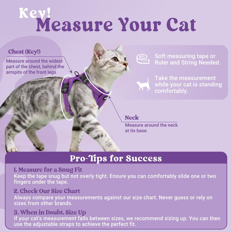rabbitgoo Cat Harness and Lead Set, Escape Proof Kitten Harness with 3 Adjustable Buckles, Soft Comfortable Cat Vest with Leash, Easy to Wear, Reflective for Safe Outdoor Walking, Small, Purple