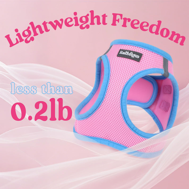 rabbitgoo Dog Harness Small Sized and Leash Set, Step-in Breathable Pet Harness, Soft Walking Reflective Puppy Vest for Small Dogs, Pink & Light Blue, XXS XXS (Chest: 12.4 - 14.2")