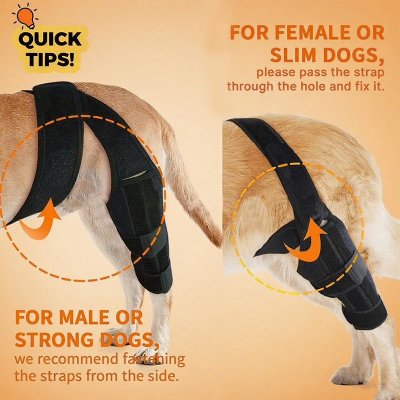 Dog Knee Brace for Torn Acl Hind Leg, Adjustable Dog Knee Brace, Helps Relieve Anterior Cruciate Ligament Tears Dog Leg Brace, Keeps Joints Stable, Relieves Pain, L (GGHX) GGHX