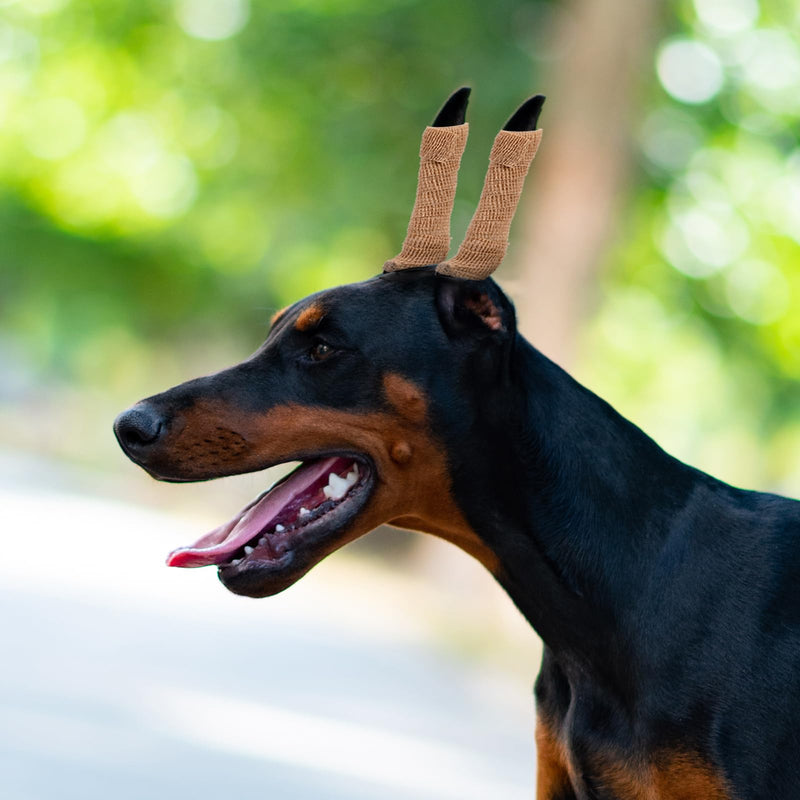 SUPVOX Dog Ear Posting Kit, 4 Pcs Dog Ear Stand Up Support Tool Dog Ear Fixed Correction Vertical Holder with Tape for Doberman Pinscher Dog Ears Sticker Up - PawsPlanet Australia