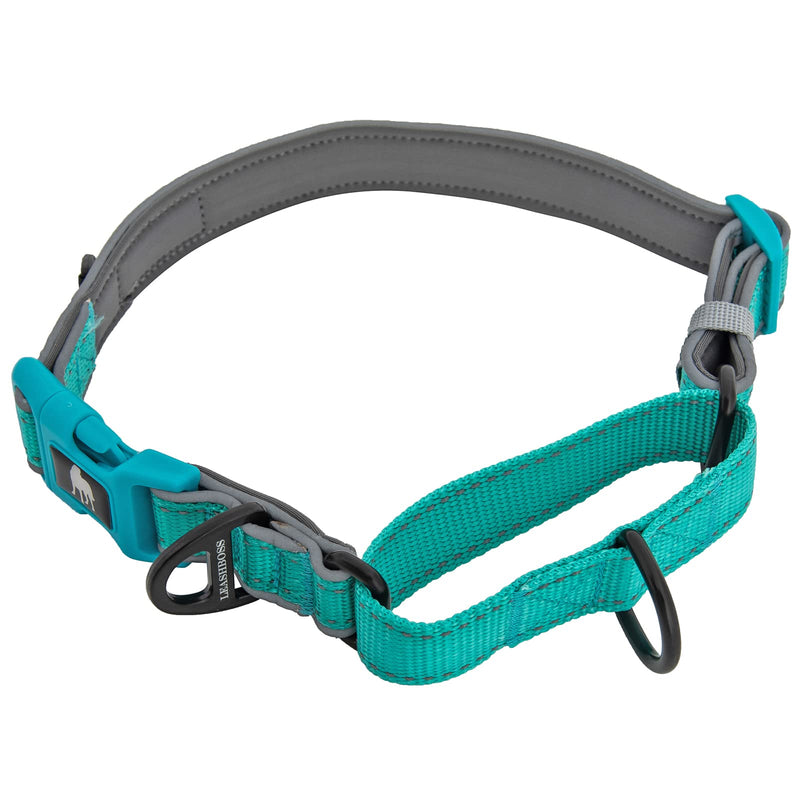 Leash Boss Martingale Collar for Dogs | Reflective Nylon Dog Collar for Large Dogs, Medium and Small Dogs | No Pull Pet Training Collar | Quick Release Buckle, Adjustable Pet Collar Medium-Large (16-19" Neck x 1" Wide) Aqua - PawsPlanet Australia