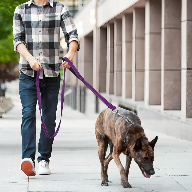 6 FT Dog Leash with 2 Padded Handle Nylon Reflective Dogs Leashes for Small Medium Large Dogs Purple Large : 1" x 6 FT - PawsPlanet Australia