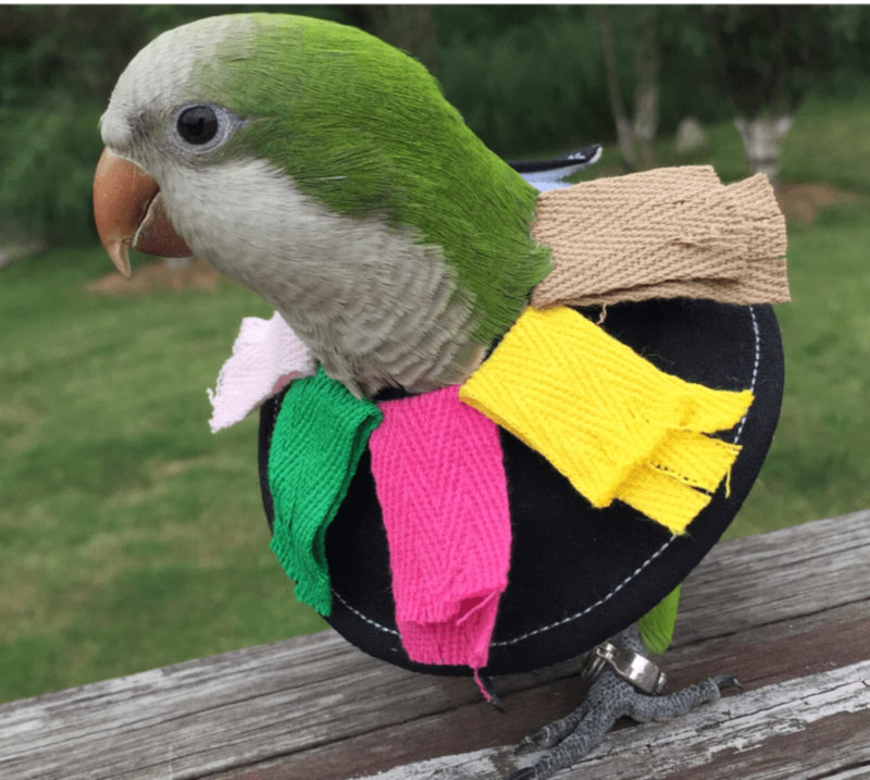 Adjustable Bird Collar Anti Bite Elizabethan Recovery Cone, Bird Neck Protector for Feather Plucking, Skin-Friendly Bird Neckwear Full Body Shield for Parakeet Conure Cockatiel (L), Black L - PawsPlanet Australia