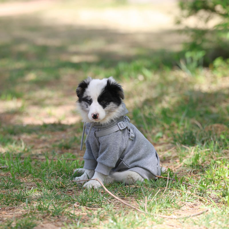 Dog Hoodies with Hurns Built in, Dog Sweatshirt for Small, Medium, and Large Dogs, Warm Sweaters for French Bulldogs, Pitbull, Puppy, Winter Jacket Alternative - Light Grey - 2XL - PawsPlanet Australia