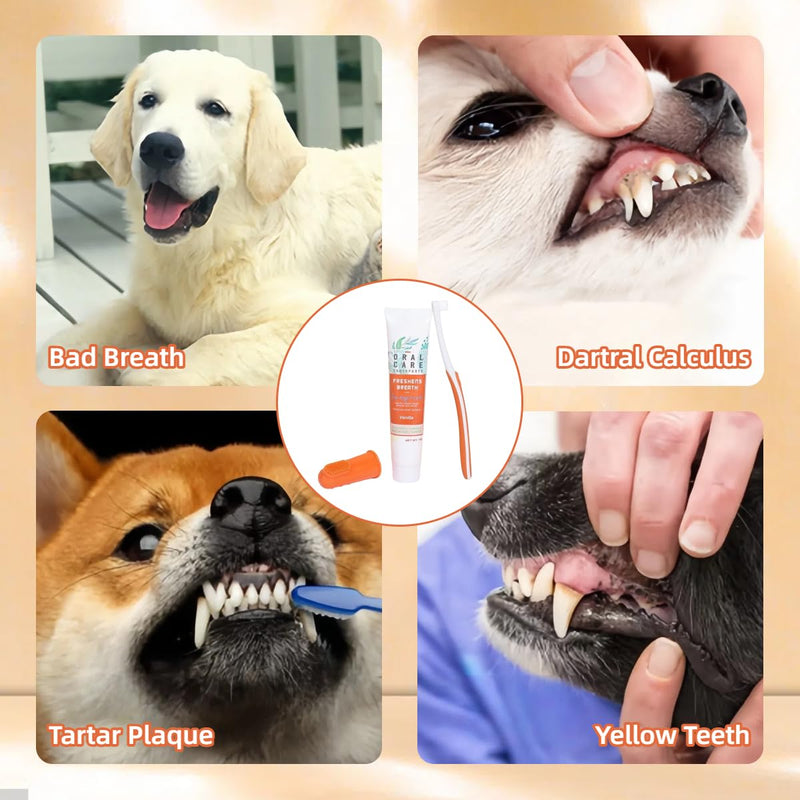 Dog Toothbrush Set, Dental Care Dog Set with Toothpaste for Dogs and Dogs Dental Care Fingerling and Dog Toothbrush, Protect Your Teeth, Removes Plaque and Bad Breat, Beef Flavor