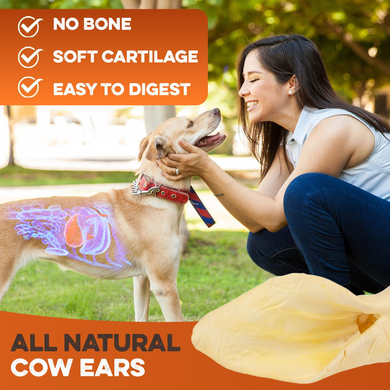 BRUTUS & BARNABY Cow Ears for Dogs – Whole Ears 12 ct, Thick Cut, Grass-Fed Angus Beef, All-Natural No-Rawhide Dog Treat Alternative 12 Count