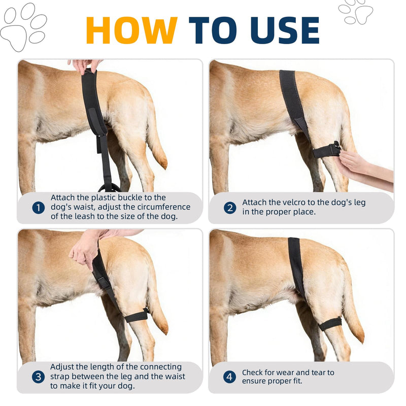 CHAMIN Dog Hip Brace for Hip Dysplasia – Adjustable Support Harness for Dogs, Relieves Joint Pain & Arthritis, Stabilizes Back Legs, Prevents Hip Issues, Orthopedic Support(L) Large