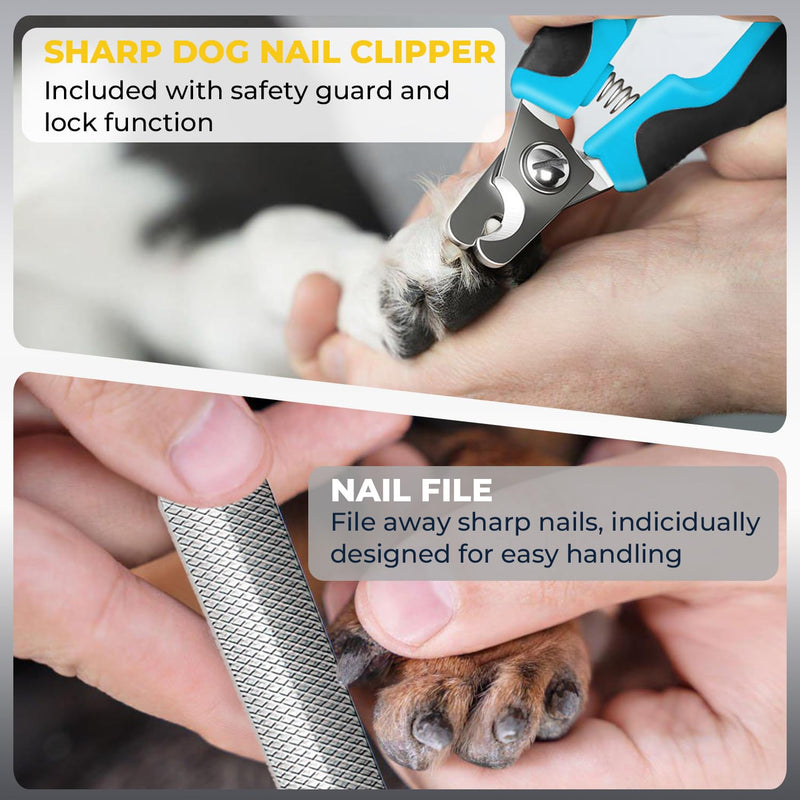 Dog Nail Grinder 6-Speed with LED Display, Dog & Cat Nail Clippers and Trimmers, Pet Nail Grinder with 2 LED Lights - Super Quiet Rechargeable Claw Trimmer for Large Medium Small Dogs/Cats (Blue) Blue - PawsPlanet Australia