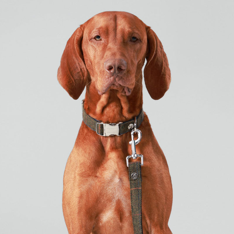 HUGO & HUDSON x HACKETT Tweed Dog Lead Padded Handle, Dark Green Checked Herringbone, 120 x 2.5cm M/L - PawsPlanet Australia