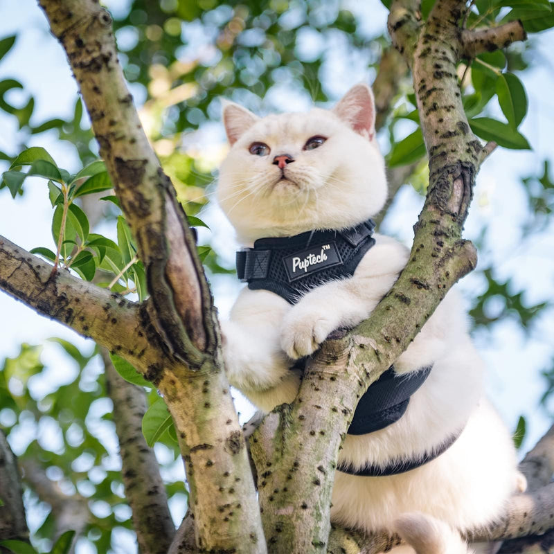 PUPTECK Cat Harness and Leash Set Escape Proof for Walking, Breathable Mash Vest Adjustable Harness for Cats Puppy Small Animals, Reflective at Night, Black Medium M: Neck 11.4"-15.3", Chest 12.8"-20" - PawsPlanet Australia