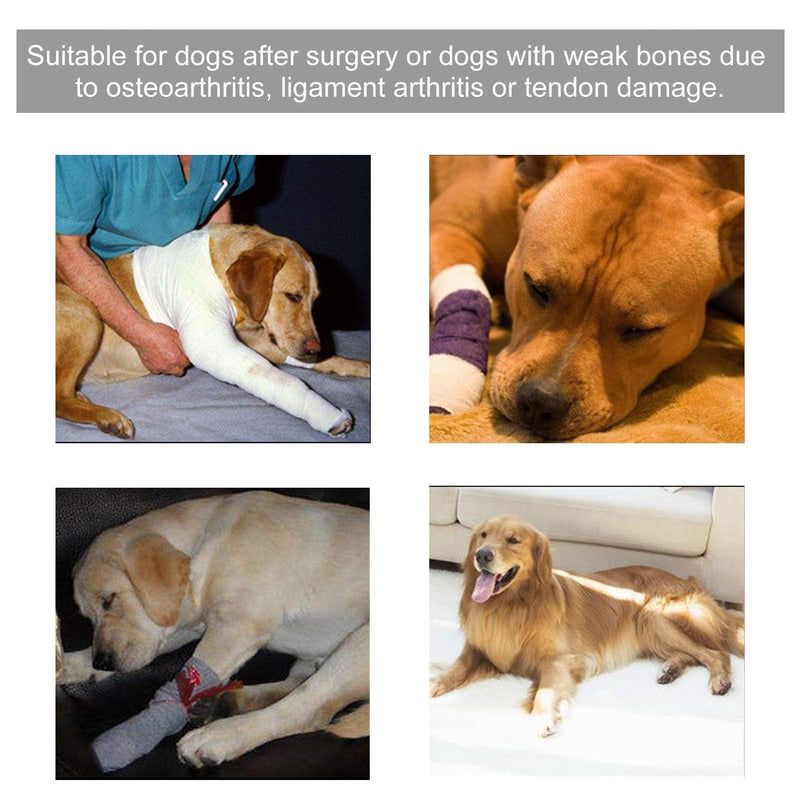 Bandage for dogs, joint bandage, ankle protection, pet protection bandage for dog hind leg and front leg S Red