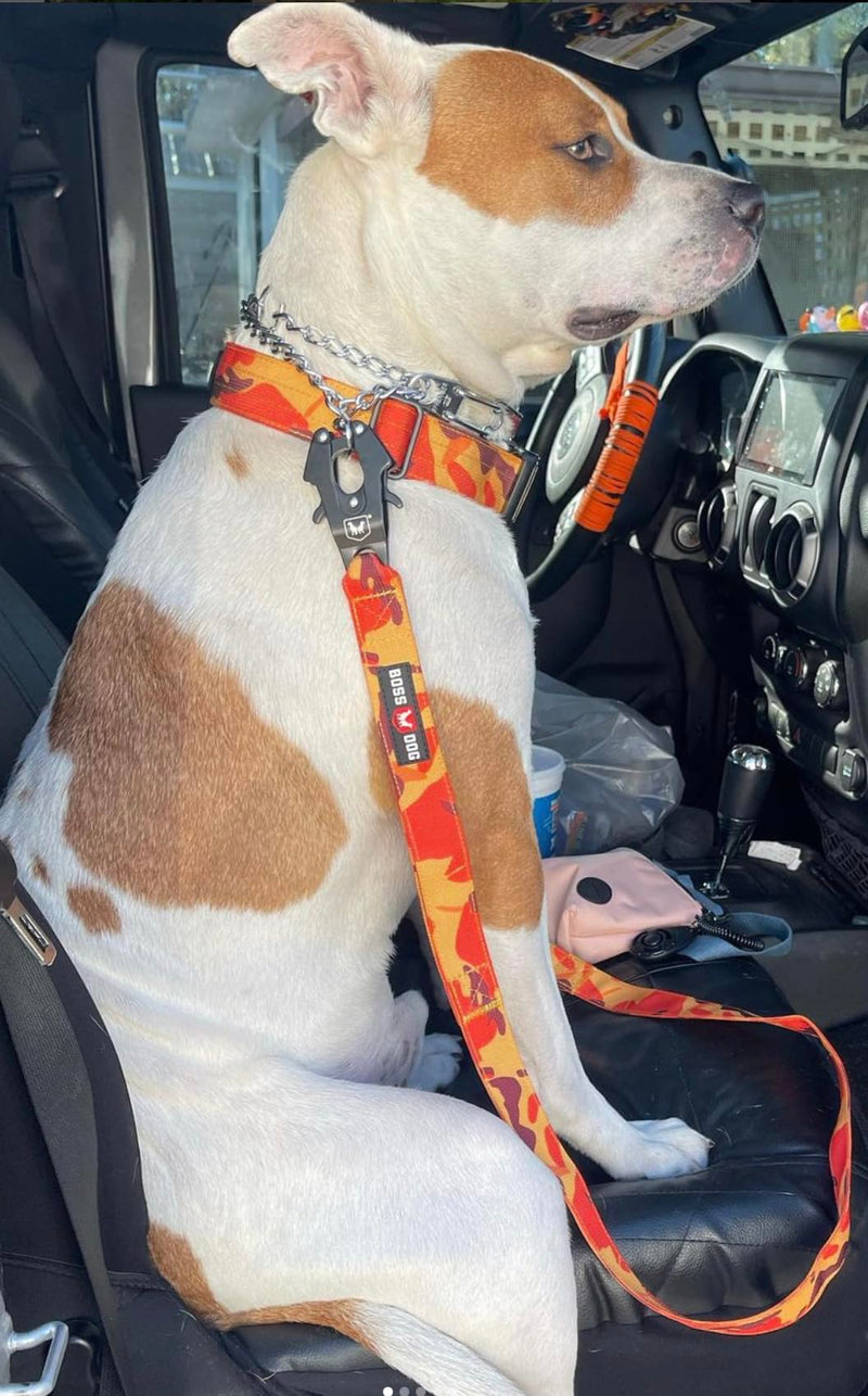 Boss Dog Tactical Leash, Orange Camo, 4 FT - PawsPlanet Australia