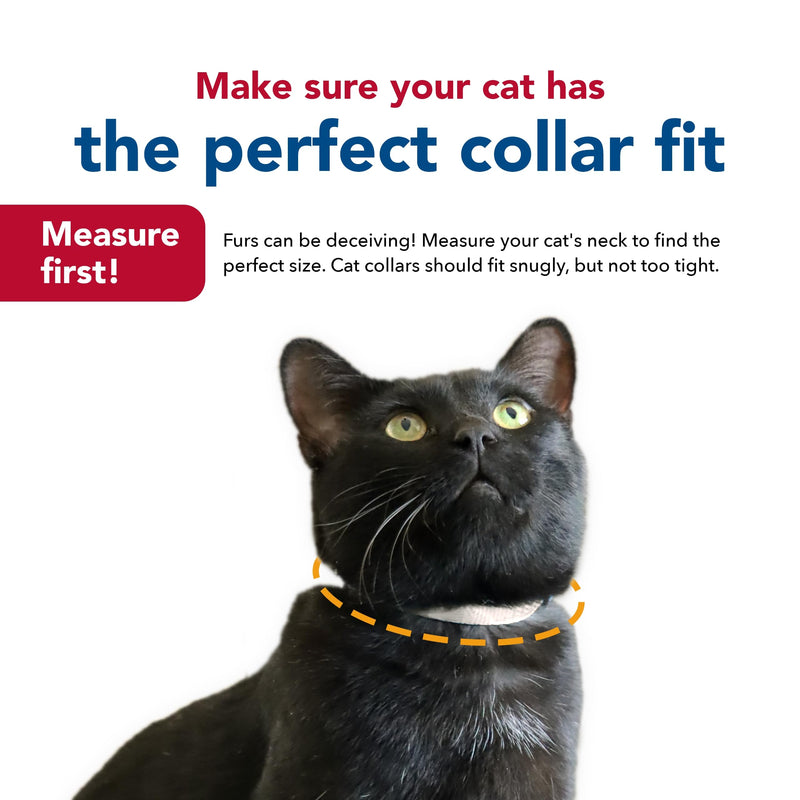Coastal Pet - Safe Cat Glow in The Dark Adjustable Breakaway Collar - Glowing Pink Queen - 3/8" x 8"-12" 3/8" x 08"-12" (Pack of 1) - PawsPlanet Australia