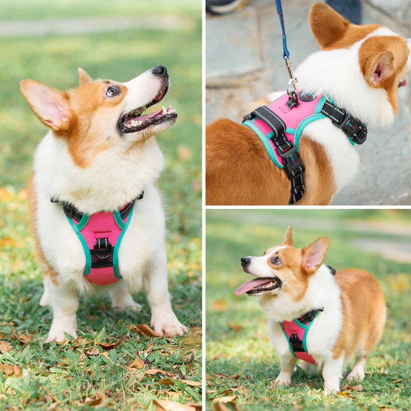 PHOEPET No Pull Dog Harness, Adjustable Vest with Padded Handle and Reflective Strips for Safe and Easy Walks, Fits Small Medium Large Dogs(Pink,M) M Pink