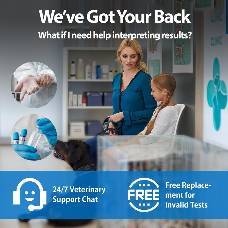 4-in-1 Dog Health Management Card 4-in-1 Canine Health Signal Analyze Common Canine Illnesses Quick and Easy at-Home Testing - PawsPlanet Australia