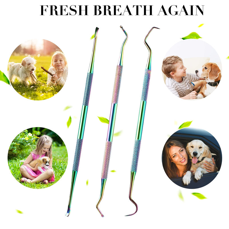 3 Pieces Dog Dental Tooth Scaler and Scraper Stainless Double Headed Tarter Removing Tool Scraper Pet Teeth Cleaning Tools for Dog and Cat (Rainbow Color) Rainbow Color - PawsPlanet Australia