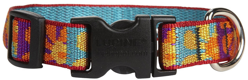 LupinePet Originals 3/4" Crazy Daisy 9-14" Adjustable Collar for Small Dogs 3/4'W; 9-14" Neck - PawsPlanet Australia