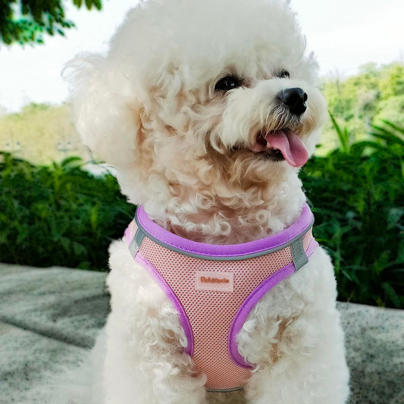 Soft Mesh Dog Harness and Leash Set, No-Chock Step-in Reflective Breathable Lightweight Easy Walk Escape Proof Vest Harnesses with Safety Buckle for Small Medium Dogs, Cats (Purple, Small) Purple - PawsPlanet Australia