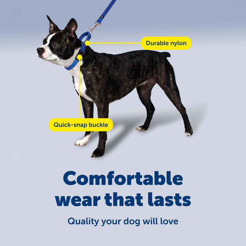 PetSafe Martingale Dog Collar with Quick-Snap Buckle - Large, 1 Inch, Raspberry - PawsPlanet Australia