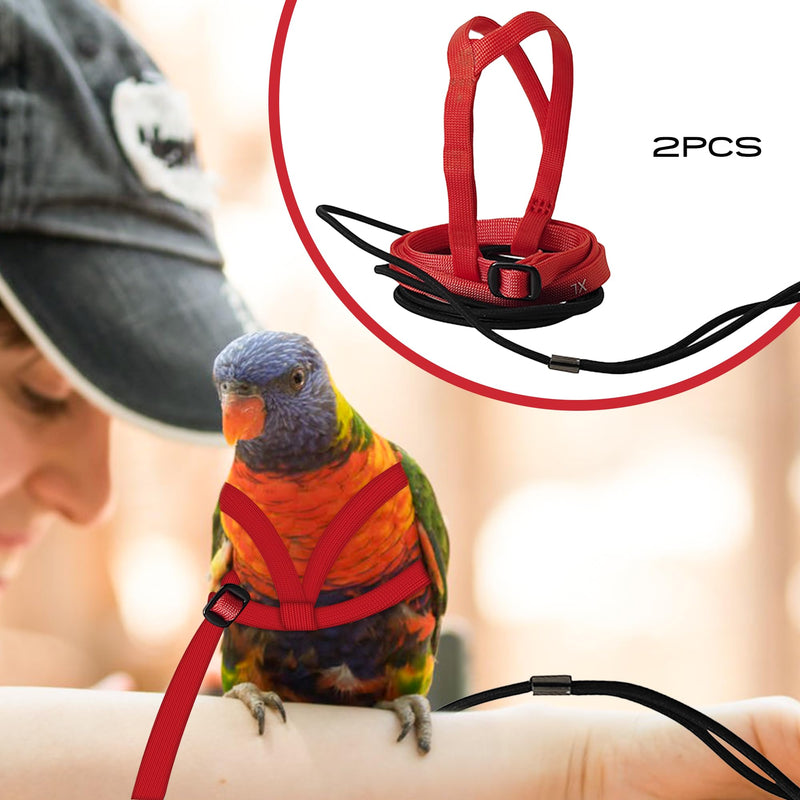 2 pcs Pet Parrot Bird Harness and Leash, Adjustable Training Design Anti-Bite, Outdoor Flying Training Rope Kit for Bird Parrots Fits Birds Chest Between24-51cm /9.45-20inch - M (red red - PawsPlanet Australia