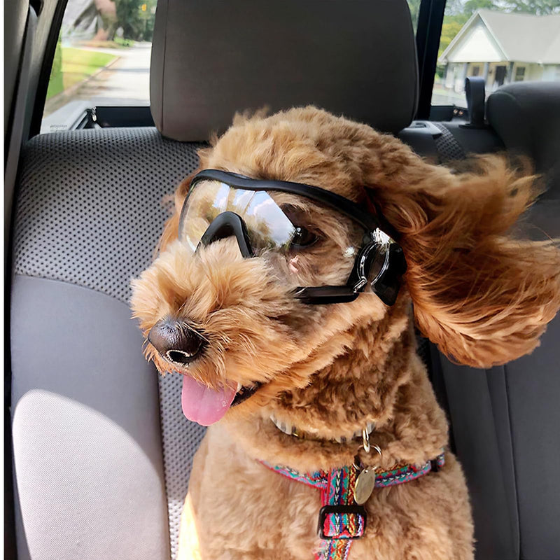 balacoo Windproof Pet Goggles Protective Dog Sunglasses Uv Eye Protection Lightweight Outdoor Eyewear for Puppy and Dog - PawsPlanet Australia