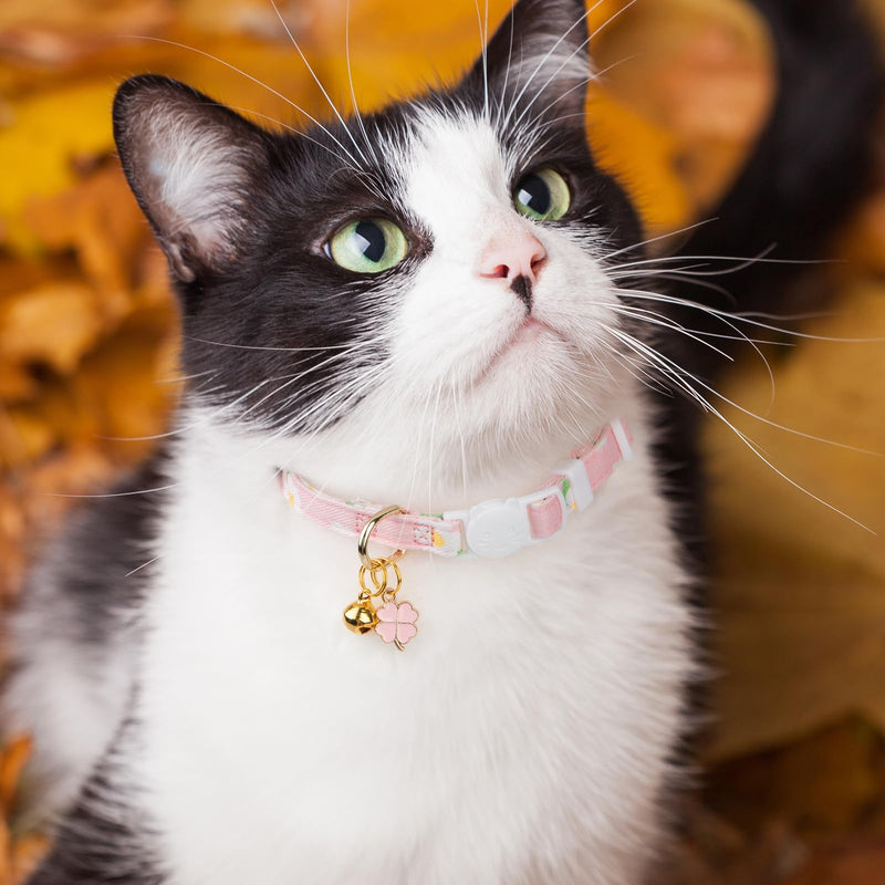 2 Pack Cotton Breakaway Cat Collar,Purple&Pink Flowers Pendant Kitten Collar Cute Cat Collar with Bell,Ideal for Girl Cats Boy Cats Purple&Pink - PawsPlanet Australia