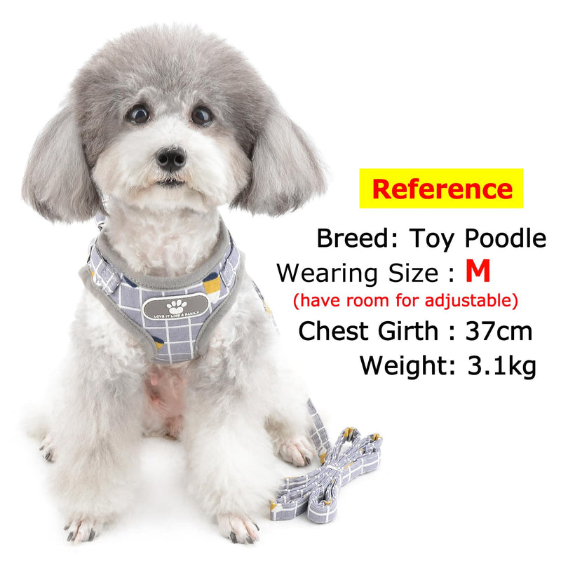 Zunea No Pull Small Dog Harness and Leash Set Adjustable Reflective Step-in Chihuahua Vest Harnesses Mesh Padded Plaid Escape Proof Walking Puppy Jacket for Boy Girl Pet Dogs Cats Gray L L (Chest: 17.5") grey - PawsPlanet Australia
