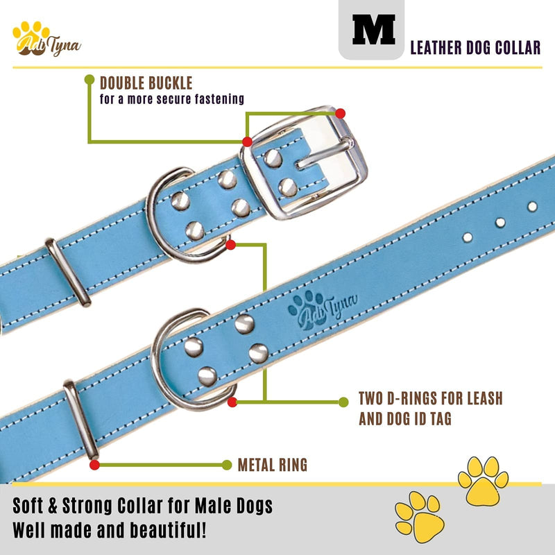 ADITYNA Heavy-Duty Leather Dog Collar for Medium Dogs - Soft Padded for Comfort - Blue Dog Collar for Walking, Training, and Hiking Medium: Fit 13-20" Neck