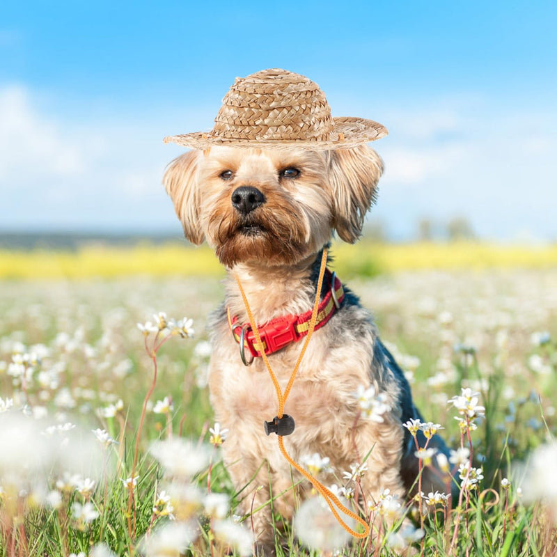 Pet Sombrero Straw Hat - Summer Hat Adjustable Hawaii Garden Sun Bucket Cap Beach Hat for Puppy Small Dogs Cats (Size L) Picture 1 - PawsPlanet Australia
