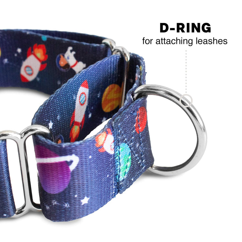 Downtown Pet Supply - Martingale Collar for Dogs - Dog Training Collar - Big, Wide & Thick Dog Collar - Escape-Proof, Weatherproof, Durable and Comfortable - Space - Large Dog Collar Large: 14"-24.5" - PawsPlanet Australia