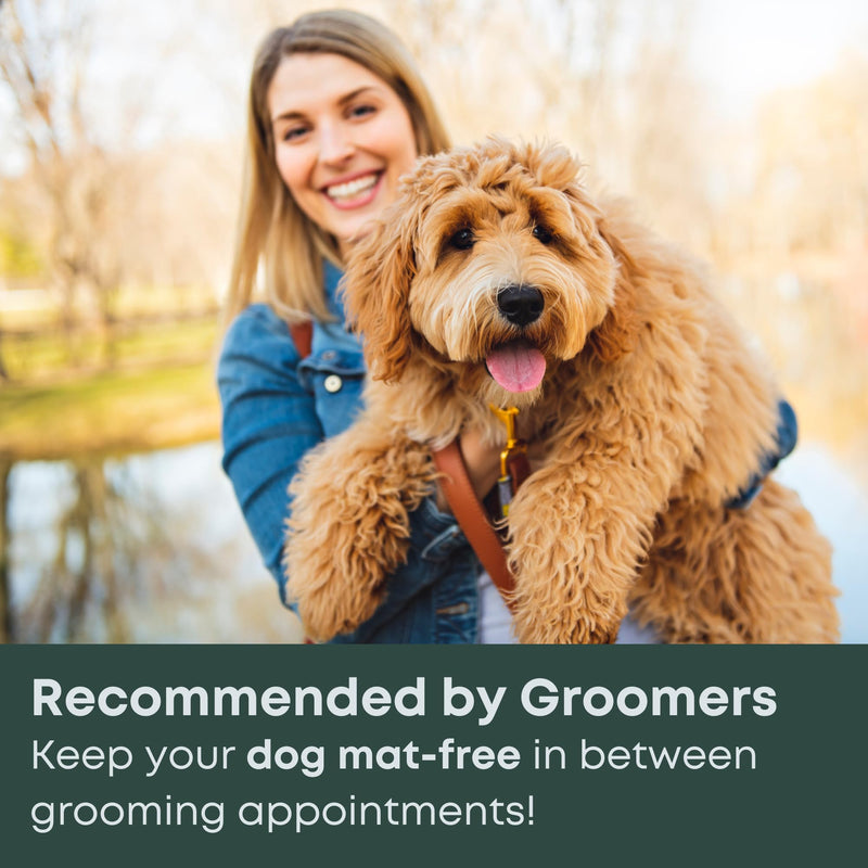 Freshly Bailey Doodle Brush for Goldendoodle, Poodle, and Labradoodle Coats - Best Slicker for Dogs With Wavy & Curly Hair - Detangle & Fluff Like a Pro - Grooming Must Haves (Large) Large
