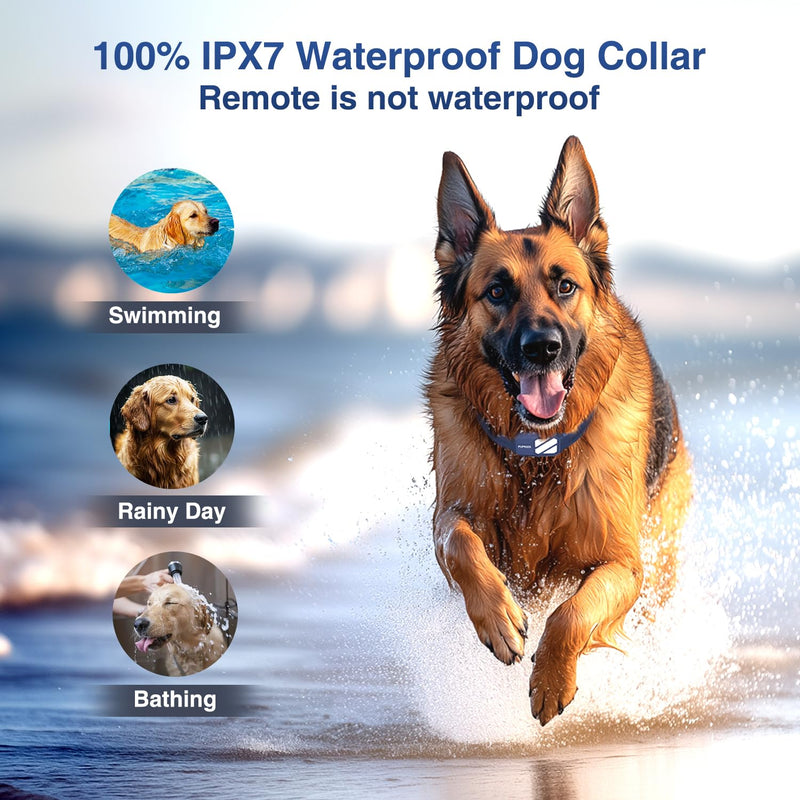 Dog Shock Collar - 4200FT Dog Training Collar with Remote for 20-140lbs Dogs, Innovative E Collar for Dogs Training with 4 Training Modes, Rechargeable Electric E-Collar for Large Dogs Blue 1 Collar - PawsPlanet Australia