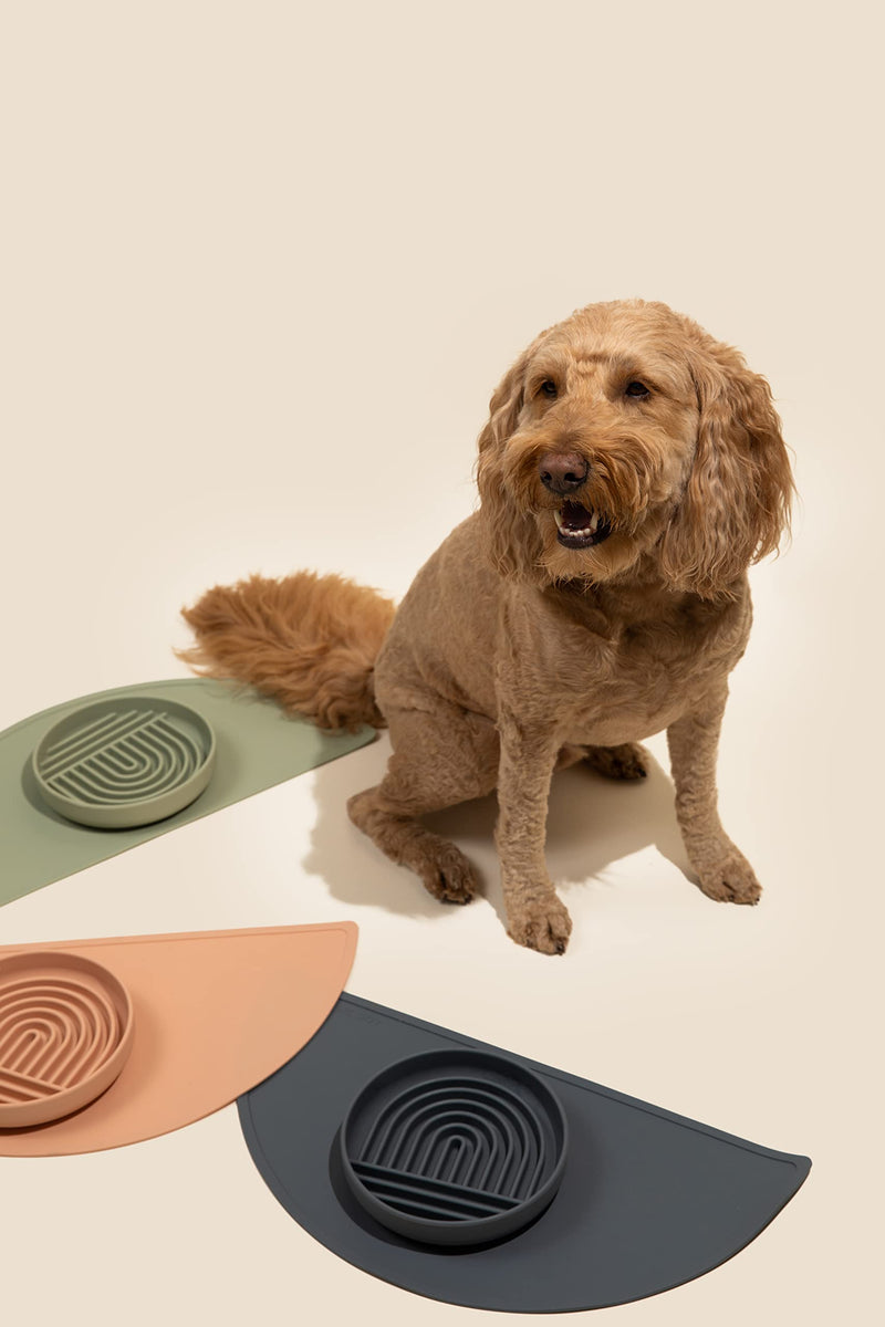 Slow Feeder Dog Bowl: The Slowdown Bowl is A Modern, Silicone Puzzle Bowl & Lick Mat. Slow Eating, Stop Gulping, Take It Easy. Dishwasher Safe. Sage Green - PawsPlanet Australia