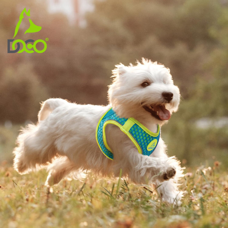 DOCO Dog Harness for Small Sized Dog - Athletica Adjustable, No Pull, No Choke, Puppy Vest Lightweight Air Mesh, Reflective, Puppy Essentials – Turquoise, X-Small (Chest 13.5"-14.", Weight 4–6 lbs) X Small (Chest: 13.5-14") - PawsPlanet Australia