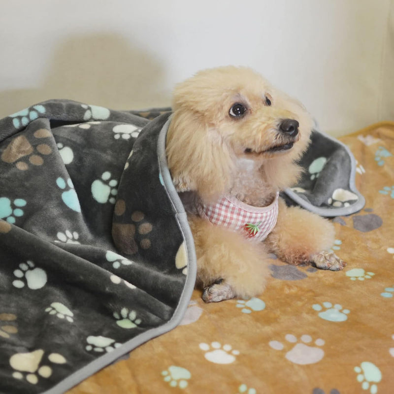 SORKUT 1 Pack 6 Dog Blankets Cat Soft Fluffy Fleece Pet Blanket Puppy Blanket Warm Paw Print Design Puppy Kitten Doggy,Medium (29"x20") 6 Pack Big Paw Series Medium(29"x20") - PawsPlanet Australia