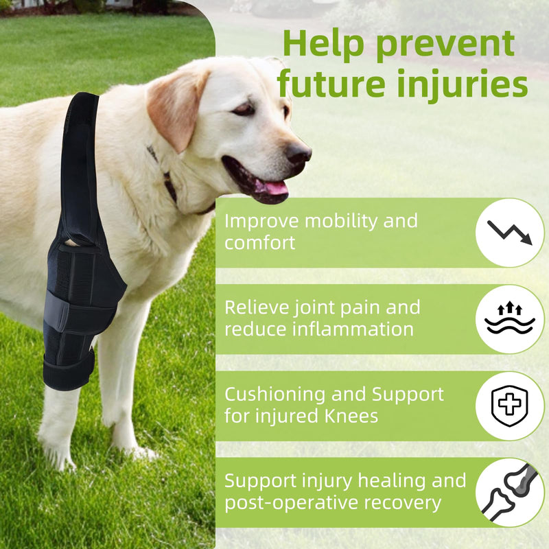 Adjustable Dog Knee Brace for Acl Support, Built-in Hard Support to Recovery and Injury Prevention - Perfect for Torn Ligaments, Knee, Hock, and Ankle Injuries - (M Size) M